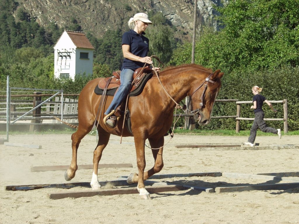 Karin Tragstangen